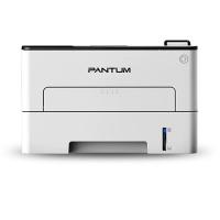 【納期目安：１週間】P3300DW Printer | タンタンショップ