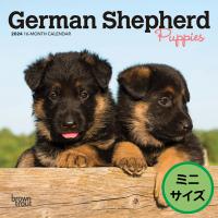 【輸入版】2024年 子犬のジャーマン・シェパード ミニ カレンダー / ブラウントラウト  (German Shepherd Puppies) | カレンダーのトーダン Yahoo!店