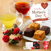 ティーライフshop 健康茶自然食品 paypayモール