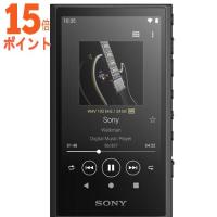 ソニー ウォークマン A300シリーズ 64GB(ブラック) SONY Walkman NW-A307-B 15倍ポイント | TECHNO HOUSE