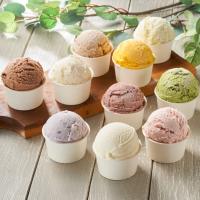アイスクリーム ジェラート 砂糖不使用アイス  10種セット 