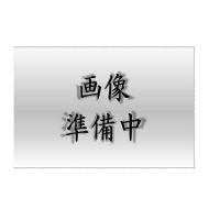 パナソニック XAD3102VKCB1 (LGD9102K+LLD4000VCB1) | てかりま専科