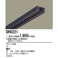 在庫品 DH0221 パナソニック １００Ｖ配線ダクトシステム　黒　配線ダクト本体　1m | てるくにでんき