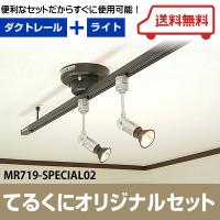 MR719-SPECIAL07 ワンタッチ簡易式ダクトレール ブラックダイクロ 