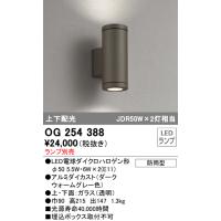 オーデリック アウトドアポーチライト[E11][ダークウォームグレー][ランプ別売]OG254388 | てるくにでんき