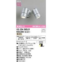 OG254565LR オーデリック R15クラス2 高演色LED　エクステリア　スポットライト　[白熱灯器具50W×2灯相当][電球色][マットシルバー][防雨型] | てるくにでんき