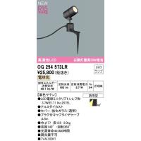 OG254573LR オーデリック R15クラス2 高演色LED　エクステリア　ガーデンライト　[白熱灯器具50W相当][電球色][ブラック][防雨型][スパイクライト] | てるくにでんき