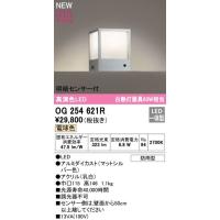 OG254621R オーデリック R15クラス2 高演色LED　エクステリア　門柱灯　[明暗センサー付][白熱灯器具60W相当][電球色][マットシルバー][防雨型] | てるくにでんき