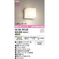 OG254797LCR オーデリック R15クラス2 高演色LED　エクステリア　ポーチライト　[人感センサー付][白熱灯器具60W相当][電球色][オフホワイト][防雨型] | てるくにでんき