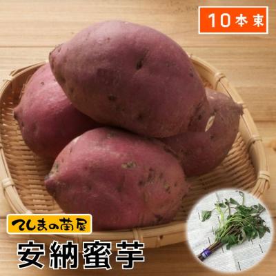 安納芋 苗の商品一覧 通販 - Yahoo!ショッピング