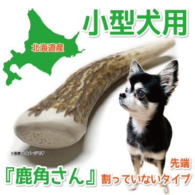 犬 鹿の角のおすすめ人気商品一覧 通販 - Yahoo!ショッピング