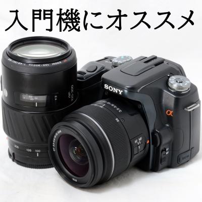 α6600（デジタル一眼レフカメラ）｜デジタル一眼カメラ｜カメラ