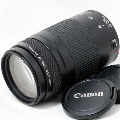 Canon EOS 80D望遠レンズセット/Canon 100-300mm Canon EOS 80D/望遠レンズセットCanon EF100-300㎜ Canon EOS 80D/望遠