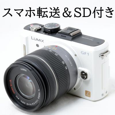 LUMIX GF1（付属レンズ：レンズキット）のおすすめ人気商品一覧 通販