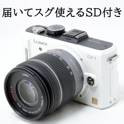 LUMIX GF1（付属レンズ：レンズキット）のおすすめ人気商品一覧 通販