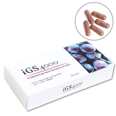 IGS 4000の商品一覧 通販 - Yahoo!ショッピング