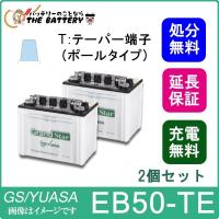 2個セット 保証付 EB50 TE ポール端子 蓄電池 自家発電 GS YUASA ユアサ 小形電動車用鉛蓄電池 | バッテリーのことならザバッテリー