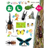 むし 新版 (はっけんずかん) 3~6歳児向け 図鑑 | THE LIGHT HOUSE