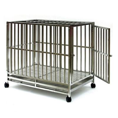 市瀬プロケージ（犬用品） | ペット用品、生き物 のおすすめ人気商品