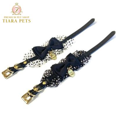 TIARA PETS JAPAN - minttan ミントタン｜Yahoo!ショッピング