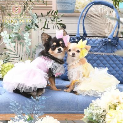 BIRDIE 犬の服｜犬服、アクセサリー｜犬用品｜ペット用品、生き物 通販