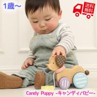 知育玩具 エド・インター MilkyToy  Candy Puppy キャンディパピー  1歳  誕生日プレゼント ギフト用 学習 教育玩具 [] | TL-STARしのびや