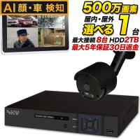 AI搭載 防犯カメラ 集音 マイク搭載 500万画素 赤外線暗視 レコーダーセット 屋外防水、屋内ドーム選べる監視カメラ1台と録画機セット SET-850S-1 SONY バレット | BUYER SELECT