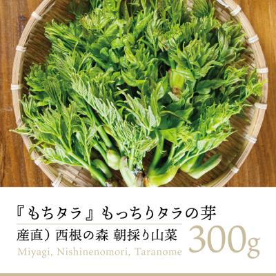 タラの芽のおすすめ人気ランキングTOP100 - Yahoo!ショッピング