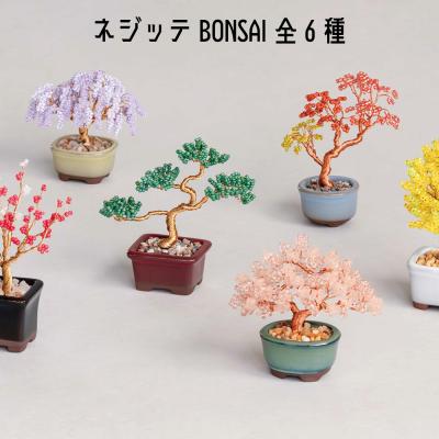 盆栽のおすすめ人気商品一覧 通販 - Yahoo!ショッピング