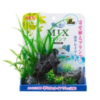 癒し水景 MIXプランツ ロック 黒 | トキワカメラYahoo!店