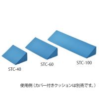 ナビス（アズワン）　体位固定クッション1000mm用 交換カバー　　4562108478663 | トキワカメラYahoo!店