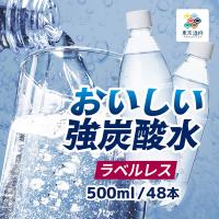 強炭酸水 おいしい強炭酸水 ラベルレス 500ml 48本 ペットボトル 東京酒粋 無糖 ソーダ ケース まとめ買い 国産 割り材 送料無料