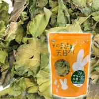 Nikitea 川井 ブロッコリーの葉３０ｇ | 通販ショップ トマト ヤフー店