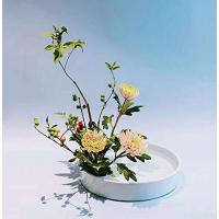 花器 水盤 25CM フラワーベース 花瓶生け花 生け花用花器 陶器花入れ いけばな道具 華道用花器 | 通販ショップ トマト ヤフー店
