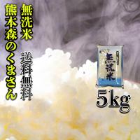 お米 米 5kg 白米 送料無料 無洗米 熊本県産 森のくまさん あすつく 令和5年産 5kg1個 くまもとのお米 富田商店 とみた商店 | くまもとのお米販売店富田商店