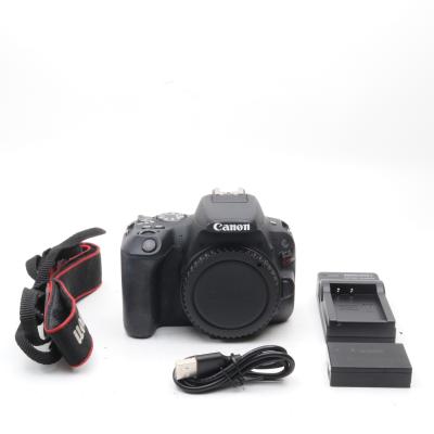 キヤノン一眼レフカメラ EOS Kiss x9 交換レンズのおすすめ人気商品
