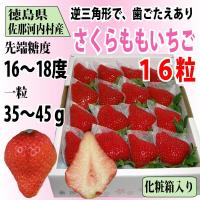 いちご さくらももいちご イチゴ 苺 16粒 化粧箱入り 送料無料 2〜4月にお届け 