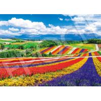 ジグソーパズル 2000スーパースモールピース 日本風景(世界最小) 虹色の四季彩の丘−北海道 (38×53cm)　54-240(エポック社)梱60cm | ジグソーパズル友蔵