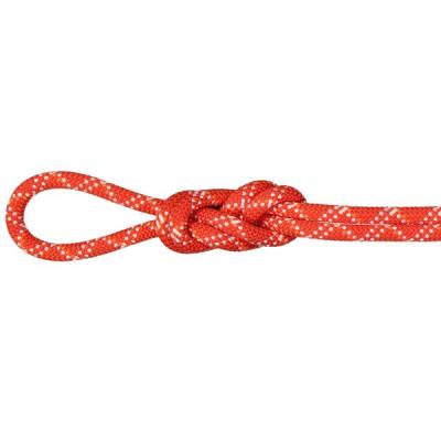 MAMMUT 登山用品 クライミングロープの商品一覧|登山 MAMMUT 登山用品 クライミングロープの商品一覧|登山