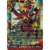 バディファイトのおすすめ人気商品一覧 通販 - Yahoo!ショッピング