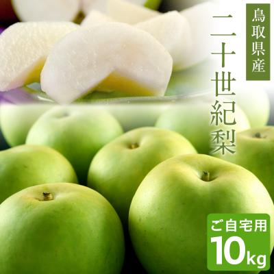 梨のおすすめ人気商品一覧 通販 - Yahoo!ショッピング