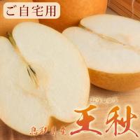 梨　王秋　家庭用　20㎏ 梨 訳あり 王秋梨（おうしゅうなし）5kg詰（5〜12玉入） 鳥取県産 なし