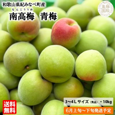 南高梅 青梅のおすすめ人気ランキングTOP100 - Yahoo!ショッピング