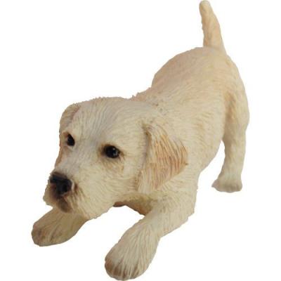 Online Shop 藤信堂 - ラブラドールレトリバー｜Yahoo!ショッピング