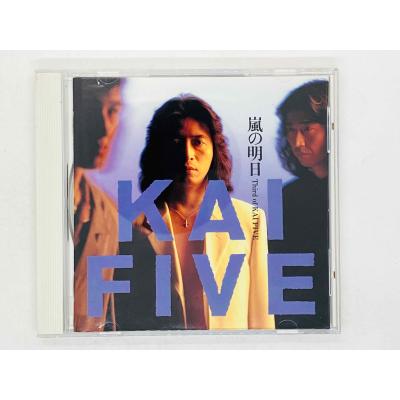 嵐 fiveのおすすめ人気商品一覧 通販 - Yahoo!ショッピング