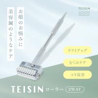 【2個セット】TEISIN ローラー（2WAY） てい鍼 小児鍼 鍼灸師 ローラー鍼 ペット 美容鍼 美顔ローラー 刺さない フェイスローラー 頭皮 美容 メール便送料無料 | 鍼灸・サロン用品 トワテック