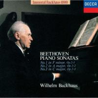 ヴィルヘルム・バックハウス 不滅のバックハウス1000: ベートーヴェン:ピアノ・ソナタ 第1・2・3番＜限定盤＞ CD | タワーレコード Yahoo!店