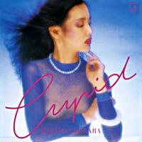 松原みき -CUPID- HQCD | タワーレコード Yahoo!店