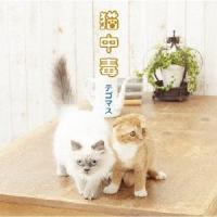 テゴマス 猫中毒＜通常盤＞ 12cmCD Single | タワーレコード Yahoo!店