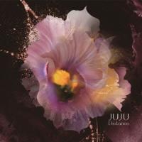 JUJU Distance 12cmCD Single | タワーレコード Yahoo!店